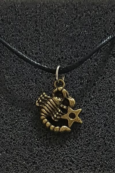Paşa Bilgi Bronze Scorpio Necklace
