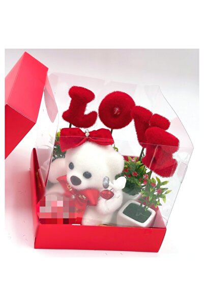 QUEEN AKSESUAR Anneler Günü Hediye Seti Büyük Lüks Kutuda Süslü Ayıcık Yapay ...