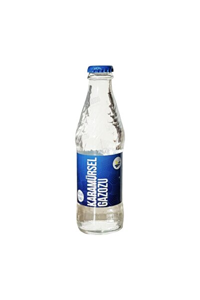 Karamürsel Gazoz 6 Adet Karamürsel Şeftali 250 ml