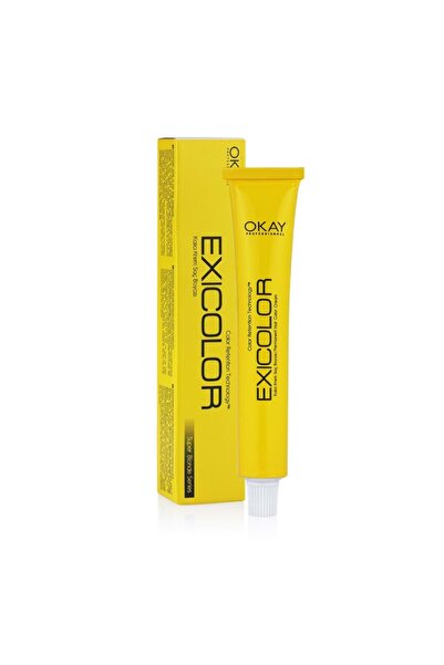 Genel Markalar Exicolor Tüp Boya 10.13 Duman Sarısı 60 Ml