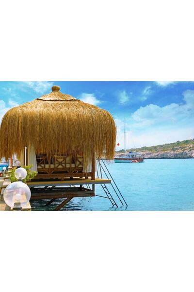 Asenya Çatı Otu 3x2 M Bambu Otu Çin Otu Kamelya Çatı Kaplama Bali Evi Otu Göl...