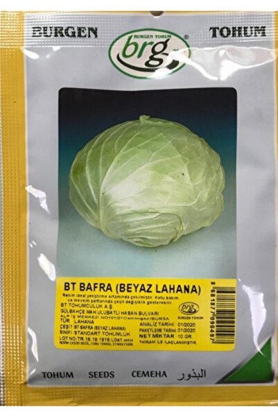 Beyaz Lahana (bafra) Tohumu 10gr