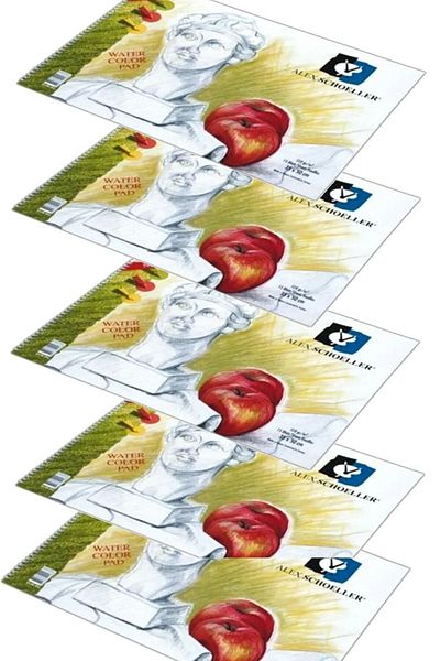 Alex Schoeller Caiet de pictură în spirală 120 Gr 15 coli 35x50 cm (5 bucăți)