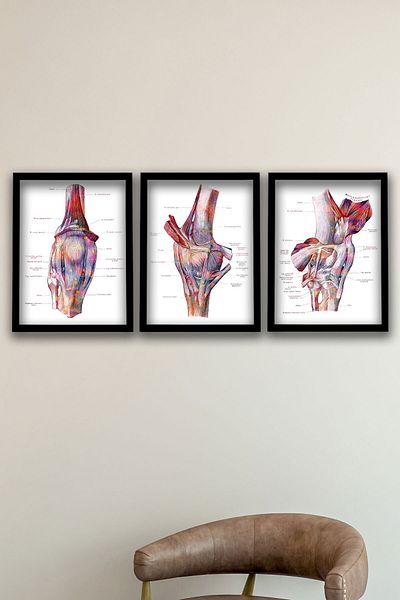 Dekor Loft Diagramă anatomică, cadou pentru medic, structura tendonurilor și ligamentelor piciorului Diagramă pentru camera medicului 3