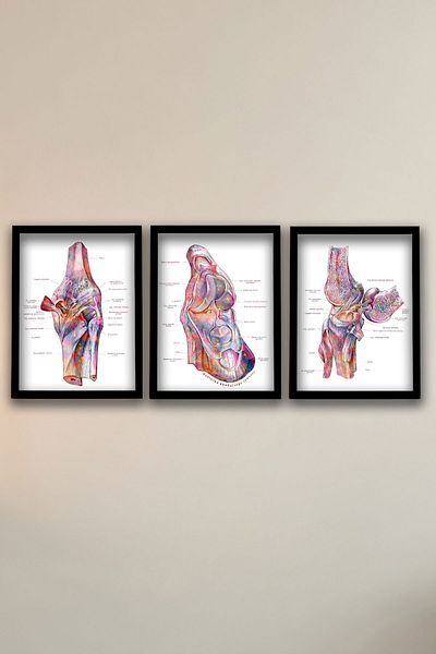 Dekor Loft Diagramă anatomică, cadou pentru medic, structura tendonurilor și ligamentelor piciorului Diagramă pentru camera medicului 3