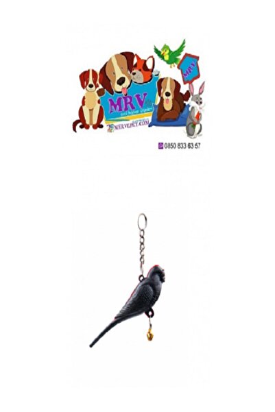Mrv Pet Kuş Oyuncakları