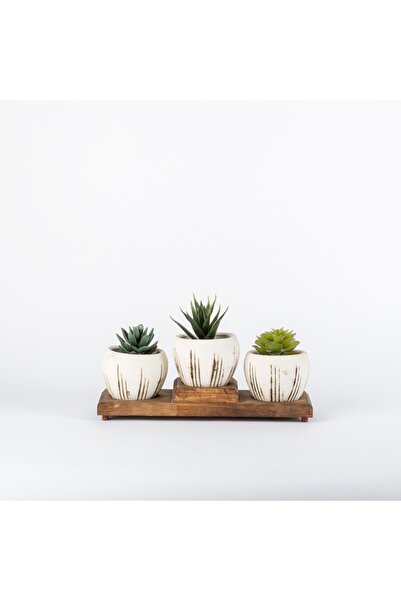 Topsan Ahşap Ortası Yüksek Standlı Antik Beyaz Kaktüs Ve Sukulentlik 3'lü Saksı