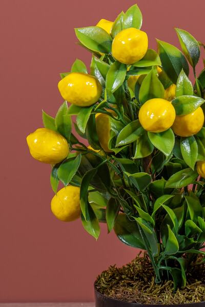 YAPAY ÇİÇEKÇİNİZ Siyah Saksıda Yapay Limon Ağacı