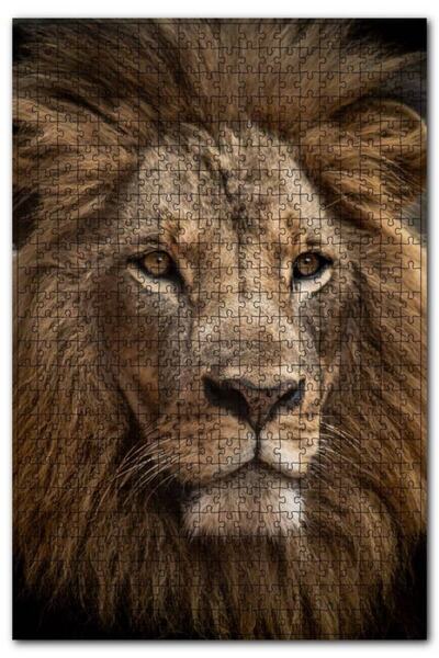 Cakapuzzle Muhteşem Erkek Aslan Yakın Çekim 1000 Parça Puzzle Yapboz Mdf (ahşap)