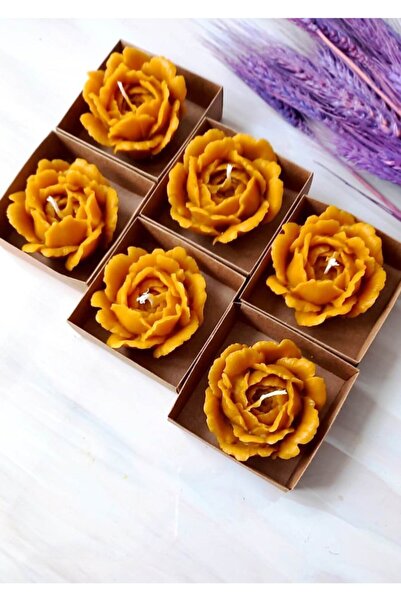 Petekoğlu Balmumu Mum (6 Adet) Açmış Gül Asetat Kutulu Doğal Petek