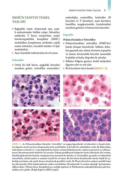 Ema Tıp Kitabevi Ema Klinik Oftalmoloji Renkli Atlas Ve Genel Bakış Serisi