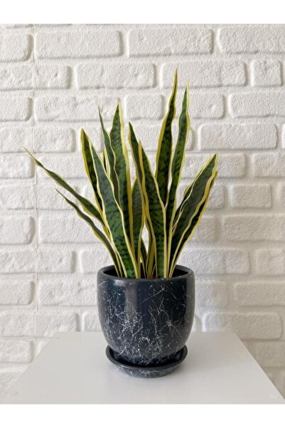 odka 8litre Saksı Tabaklı Yükseklik:17cm Çap:19cm Mia Antrasit Mermer Desenli