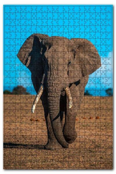 Cakapuzzle Çayırda Yetişkin Afrika Fili 255 Parça Puzzle Yapboz Mdf (ahşap)