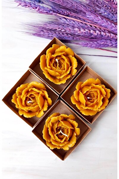 Petekoğlu Balmumu Mum 4 Adet Açmış Gül Asetat Kutulu Doğal