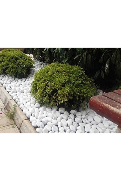 Genel Markalar Beyaz Dolomit Taş 10 Kg 4-6 Cm Dekorotif Taş Bahçe Süs Taşı Loche