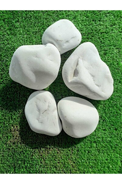 Genel Markalar Beyaz Dolomit Taş 10 Kg 4-6 Cm Dekorotif Taş Bahçe Süs Taşı Loche