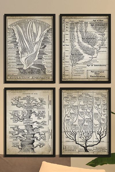 Dekor Loft Arborele vieții din lemn natural, geologie, evoluție paleontologie cronologie geologică înregistrare fosile tablou 4 piese