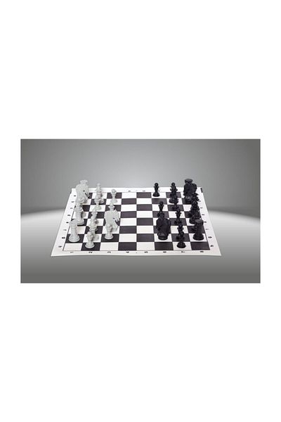 DIGERUI Roll Chess Portable Chess Set with Bag