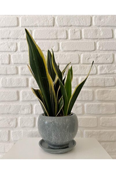 odka 8litre Küre Saksı Tabaklı Yükseklik:16cm Çap:18cm Füme Mermer Desenli