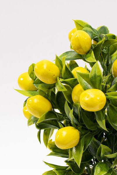YAPAY ÇİÇEKÇİNİZ Siyah Saksıda Yapay Limon Ağacı