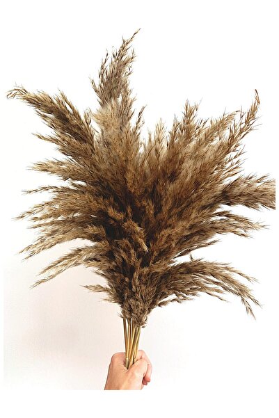 Alyones Dekoratif 7'li 100cm Boyunda Dökülmez Doğal Çiçek