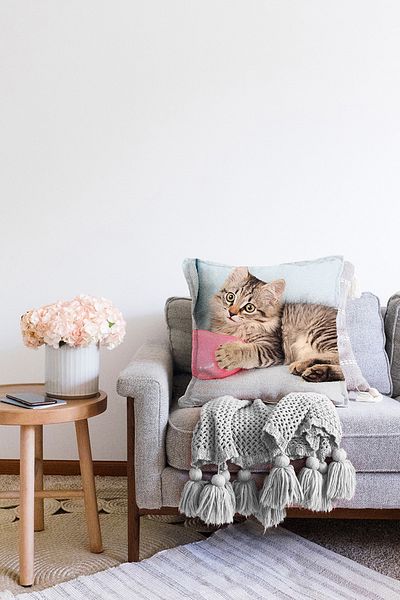 Realhomes Husă de pernă cu model de pisică drăguță, imprimată digitală, modernă, cu două fețe, tricotată Raschel