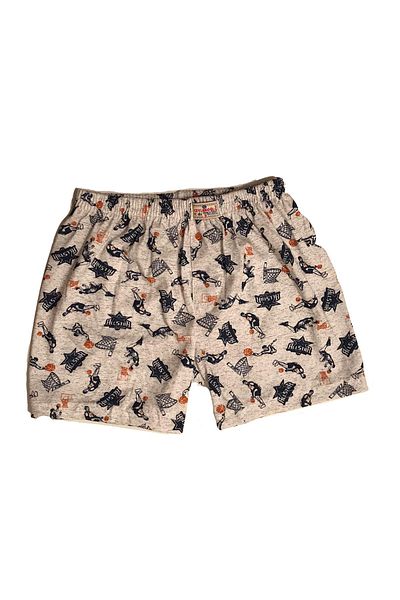 Ceylanoğlu Boy's Beige Mixed Color Lycra Printed Boxer