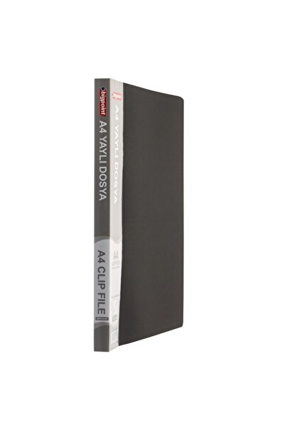 Bigpoint Spring File A4 Matte Black