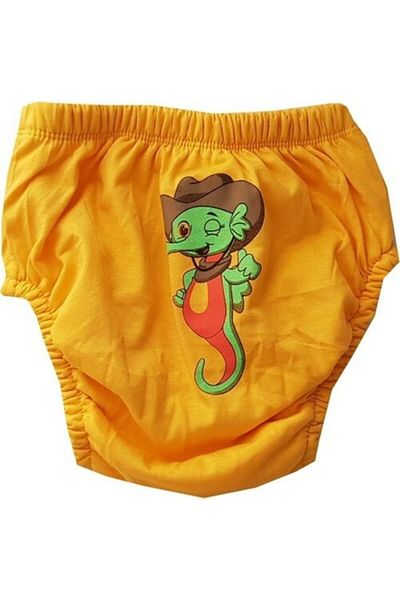 Babix Baby Orange Printed Toilet Training Panties (There May Be Differences in Patterns)