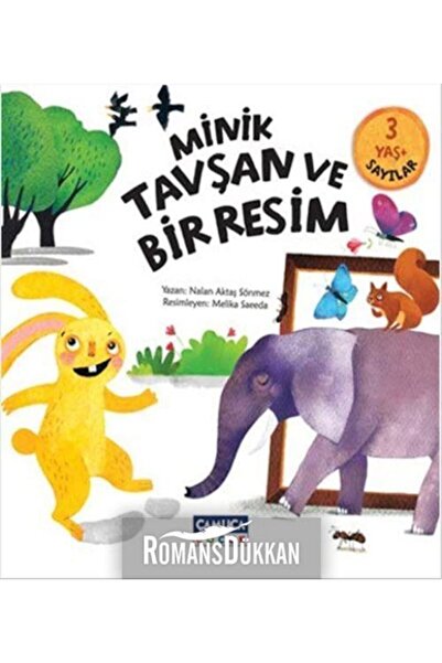 Çamlıca Çocuk Yayınları Minik Tavşan Ve Bir Resim & Sayılar