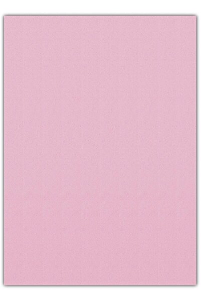 Bigpoint Eva 50x70cm Pembe 10'lu Paket