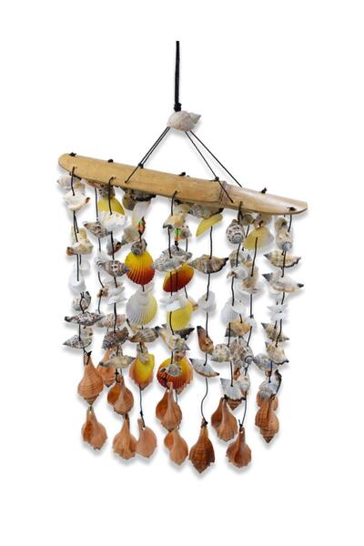 Hedicaret Rüzgar Çanı, Deniz Kabuğu, Bambu, Dekoratif Hediye, Dekorasyon