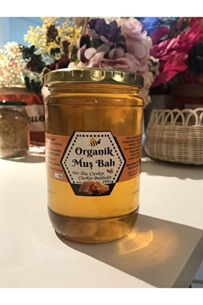 BALSAN Organik Karakovan Süzme (900GR) 2023 Yeni Sezon