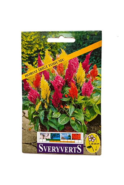 Genel Markalar Birinci Kalite Horoz Ibiği Çiçeği Tohumu