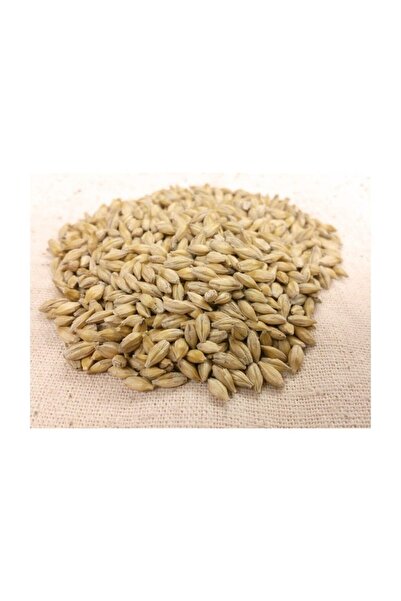 Genel Markalar Arpa Tohumu 1 Kg Doğal Arpa Tane Arpa Dane Arpa Kuş Yemi Arpa ...