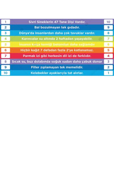 bakposter Bunları Biliyor Musunuz ? Merdiven Yazıları