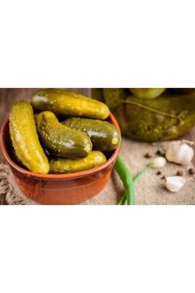 TURŞU MARKET Kornişon Salatalık Turşusu Küçük Boy 1.5 Lt