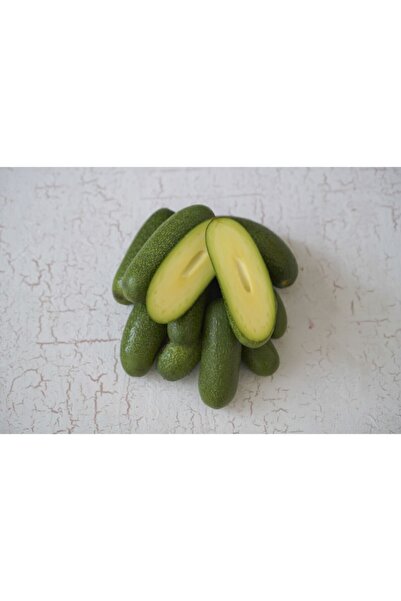 Avokado Bahçesi Bebek Avokado 500 Gr.