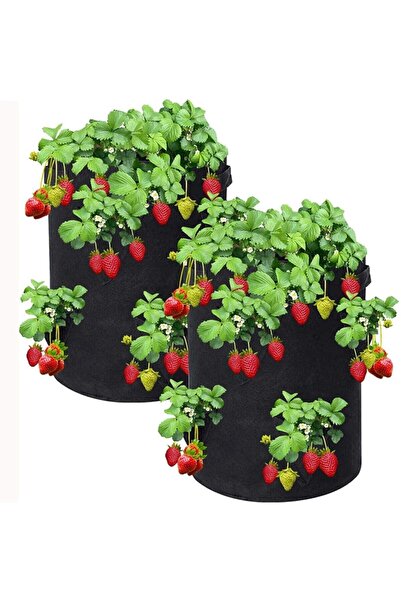 SARI TARIM Çilek Fidesi 10 Adet Salkım Çilek Yediveren Çilek Fidanı Sarmaşık Çilek Fide