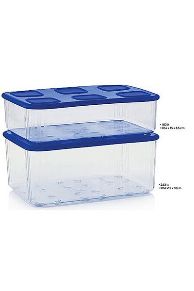 Tupperware Modular Organizing Container 2.53 Lt and 1.6lt Esc