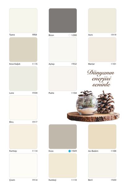 Filli Boya Exxen Mat Silikonlu Mat Iç Cephe Boyası 2.5 Lt Renk: Luna