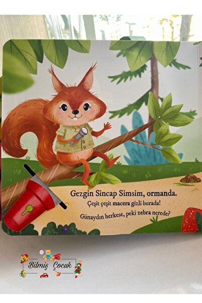 Sincap Kitap Bulurum Seni Ormanda ( Fenerli Kitap )