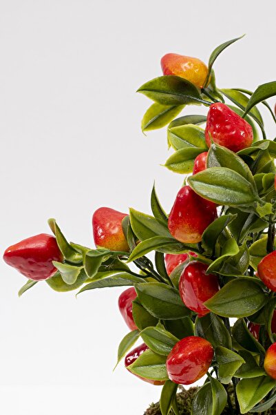 YAPAY ÇİÇEKÇİNİZ Τεχνητό δέντρο φράουλας σε μαύρη γλάστρα