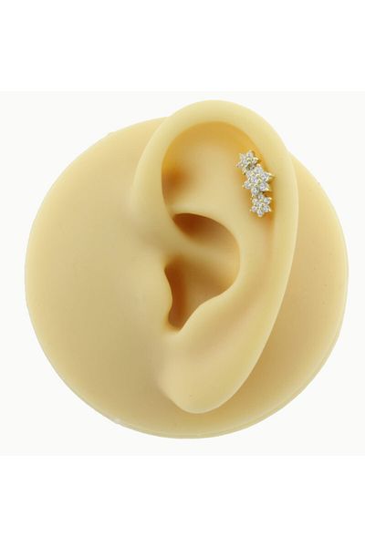 Dianora Piercing 14K White Gold Flower Helix/Cartilage Piercing