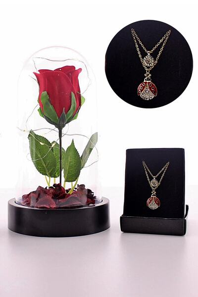 Deco Elit Anneler Gününe Özel Fanusta Led Işıklı Kırmızı Gül Ve Uğur Böceği K...