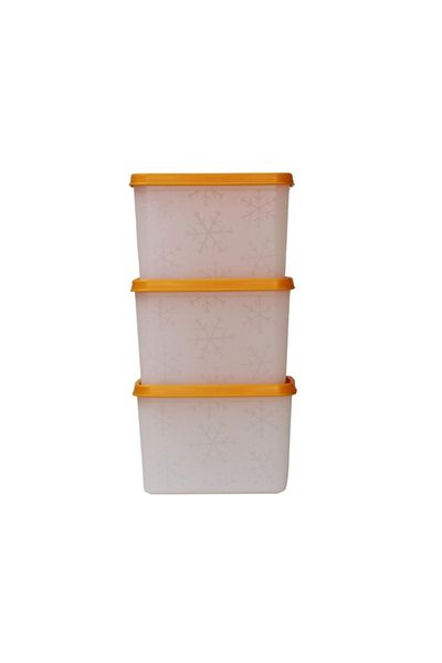 HOBBY LİFE Alaska Nofrost Storage Container 1.1 Liter 3-Piece Orange