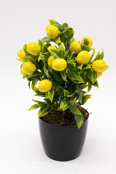 YAPAY ÇİÇEKÇİNİZ Siyah Saksıda Yapay Limon Ağacı