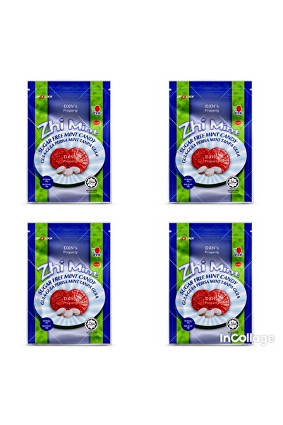 DXN Zhi Mint Plus 1 Gr X 25 Adet ( 4 Tane )