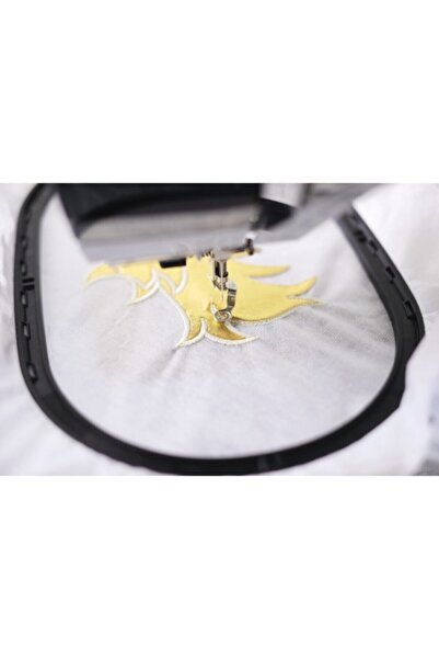 BERNINA B590e Dikiş Ve Nakış Makinesi