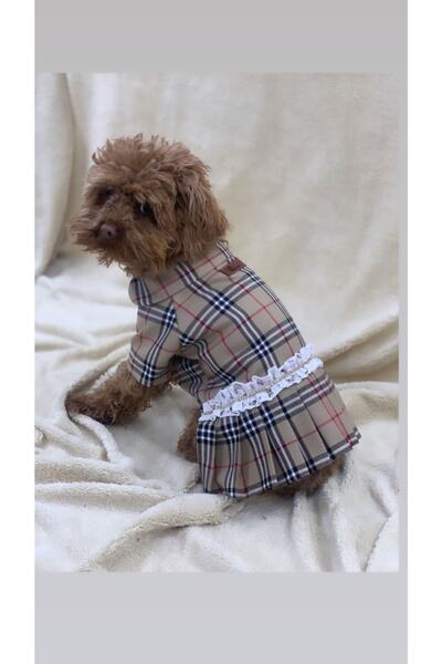 aria pet butik Köpek Kedi Gömlek Elbise